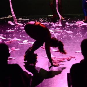 Fotografía de Yo quiero bailar toda la noche - Proyecto Pelo