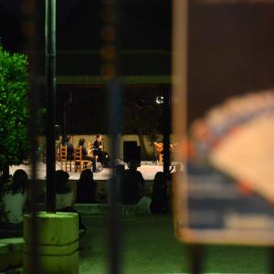 Fotografía de El sentío - Alicia Morales