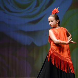 Fotografía de Fesdance Granada. Galería 1 - 