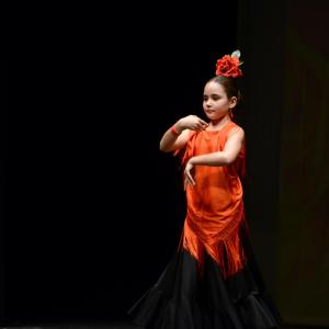 Fotografía de Fesdance Granada. Galería 1 - 