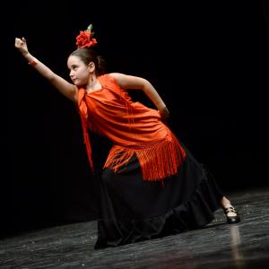 Fotografía de Fesdance Granada. Galería 1 - 