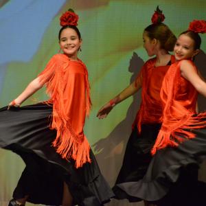 Fotografía de Fesdance Granada. Galería 1 - 