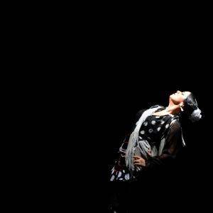 Fotografía de Proyecto flamenco - Proyecto Flamenco