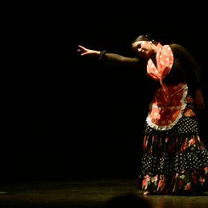 Fotografía de Proyecto flamenco - Proyecto Flamenco