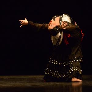 Fotografía de Proyecto flamenco - Proyecto Flamenco