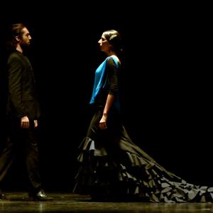 Fotografía de Proyecto flamenco - Proyecto Flamenco