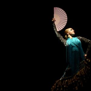 Fotografía de Proyecto flamenco - Proyecto Flamenco