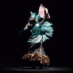 Fotografía de Proyecto flamenco - Proyecto Flamenco