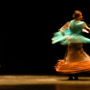 Fotografía de Proyecto flamenco - Proyecto Flamenco