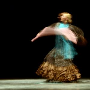Fotografía de Proyecto flamenco - Proyecto Flamenco