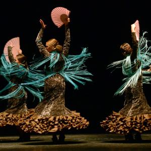 Fotografía de Proyecto flamenco - Proyecto Flamenco