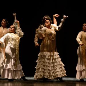 Fotografía de Proyecto flamenco - Proyecto Flamenco