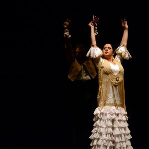 Fotografía de Proyecto flamenco - Proyecto Flamenco
