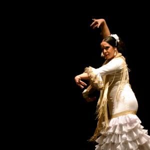 Fotografía de Proyecto flamenco - Proyecto Flamenco