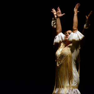 Fotografía de Proyecto flamenco - Proyecto Flamenco