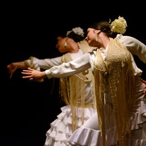Fotografía de Proyecto flamenco - Proyecto Flamenco