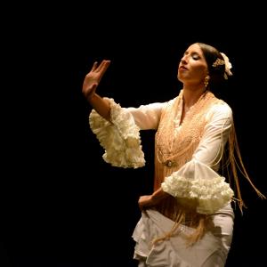 Fotografía de Proyecto flamenco - Proyecto Flamenco