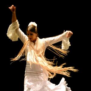 Fotografía de Proyecto flamenco - Proyecto Flamenco