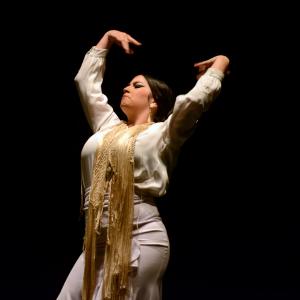 Fotografía de Proyecto flamenco - Proyecto Flamenco