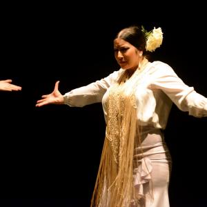 Fotografía de Proyecto flamenco - Proyecto Flamenco