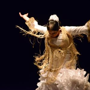 Fotografía de Proyecto flamenco - Proyecto Flamenco