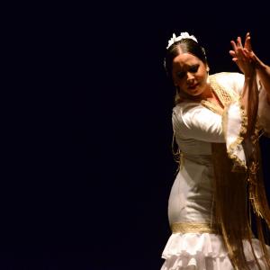 Fotografía de Proyecto flamenco - Proyecto Flamenco