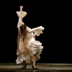 Fotografía de Proyecto flamenco - Proyecto Flamenco