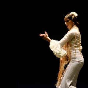 Fotografía de Proyecto flamenco - Proyecto Flamenco
