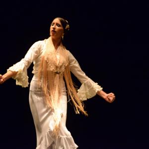 Fotografía de Proyecto flamenco - Proyecto Flamenco