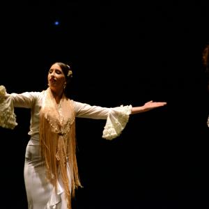 Fotografía de Proyecto flamenco - Proyecto Flamenco