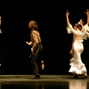 Fotografía de Proyecto flamenco - Proyecto Flamenco