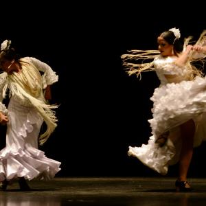 Fotografía de Proyecto flamenco - Proyecto Flamenco