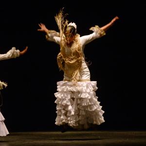 Fotografía de Proyecto flamenco - Proyecto Flamenco