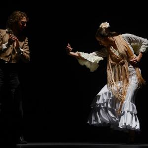 Fotografía de Proyecto flamenco - Proyecto Flamenco