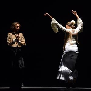 Fotografía de Proyecto flamenco - Proyecto Flamenco