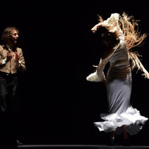 Fotografía de Proyecto flamenco - Proyecto Flamenco