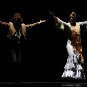 Fotografía de Proyecto flamenco - Proyecto Flamenco