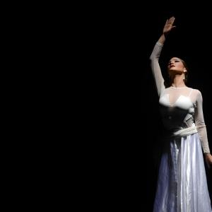 Fotografía de Proyecto flamenco - Proyecto Flamenco
