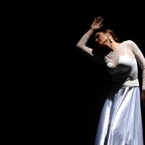 Fotografía de Proyecto flamenco - Proyecto Flamenco