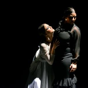 Fotografía de Proyecto flamenco - Proyecto Flamenco