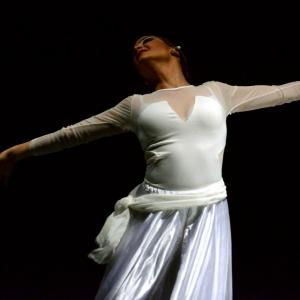 Fotografía de Proyecto flamenco - Proyecto Flamenco