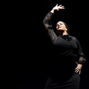 Fotografía de Proyecto flamenco - Proyecto Flamenco