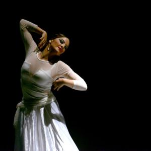 Fotografía de Proyecto flamenco - Proyecto Flamenco