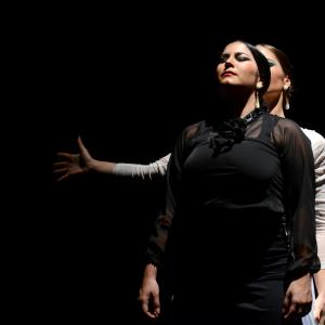 Fotografía de Proyecto flamenco - Proyecto Flamenco