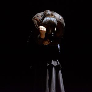 Fotografía de Proyecto flamenco - Proyecto Flamenco