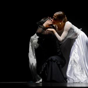 Fotografía de Proyecto flamenco - Proyecto Flamenco