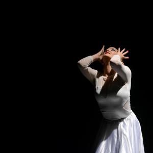 Fotografía de Proyecto flamenco - Proyecto Flamenco