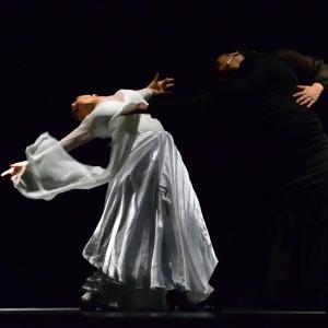 Fotografía de Proyecto flamenco - Proyecto Flamenco