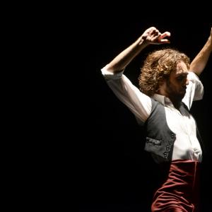Fotografía de Proyecto flamenco - Proyecto Flamenco