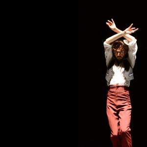 Fotografía de Proyecto flamenco - Proyecto Flamenco